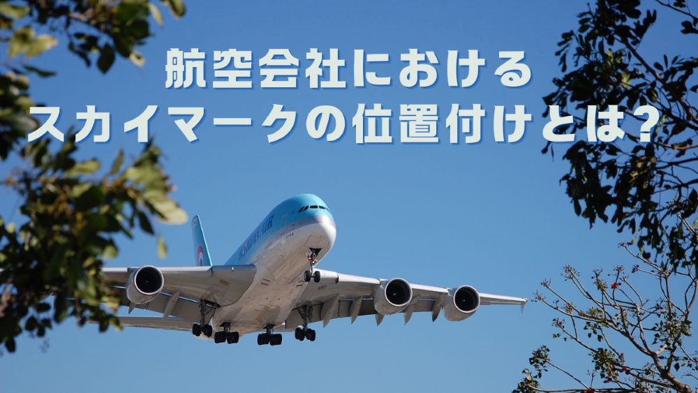 航空会社におけるスカイマークの位置付けとは？